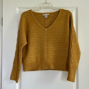 Sincerely Jules v-neck sweater XS. Lovely sesame color and silky soft!
